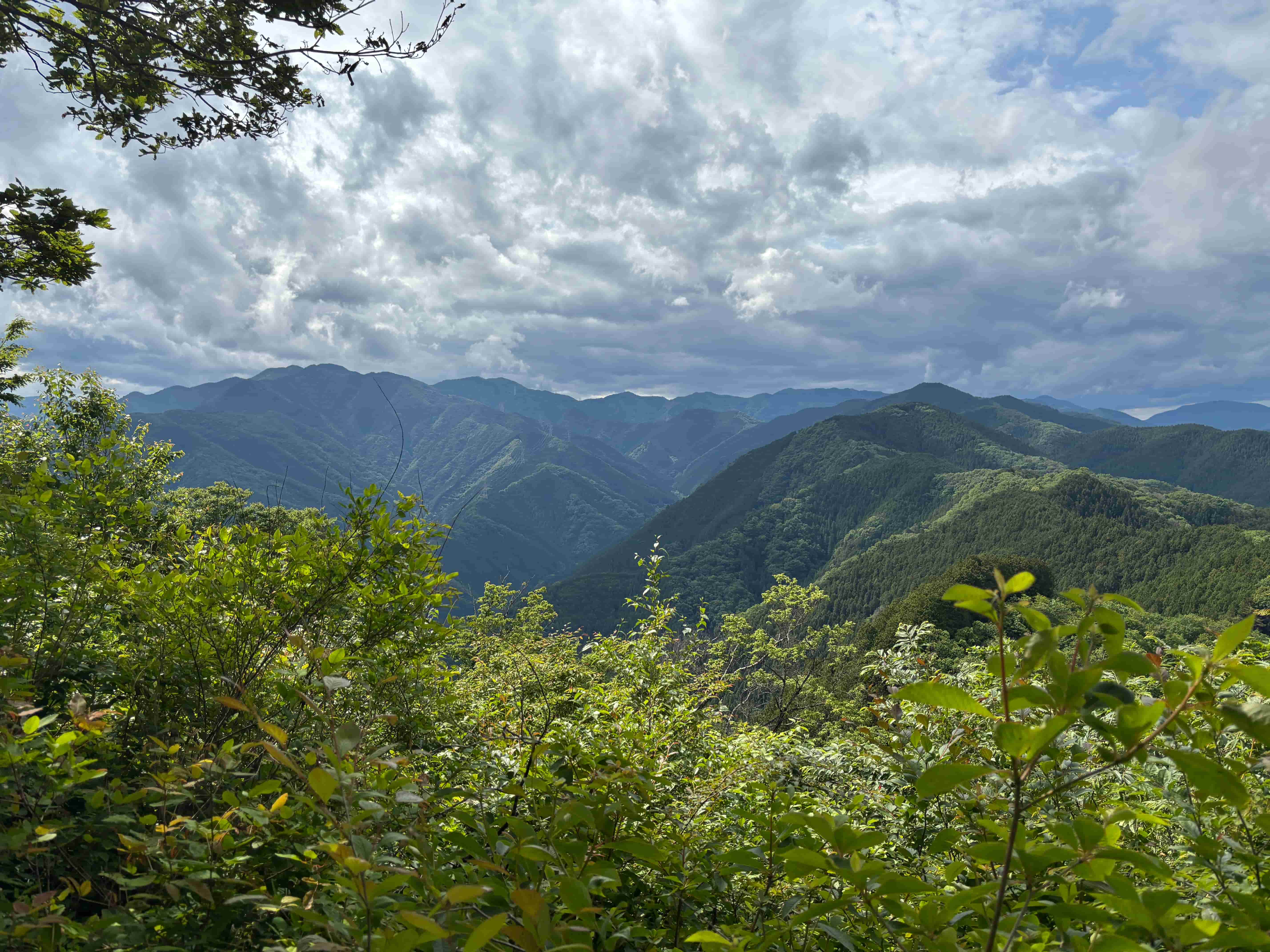 Mountain